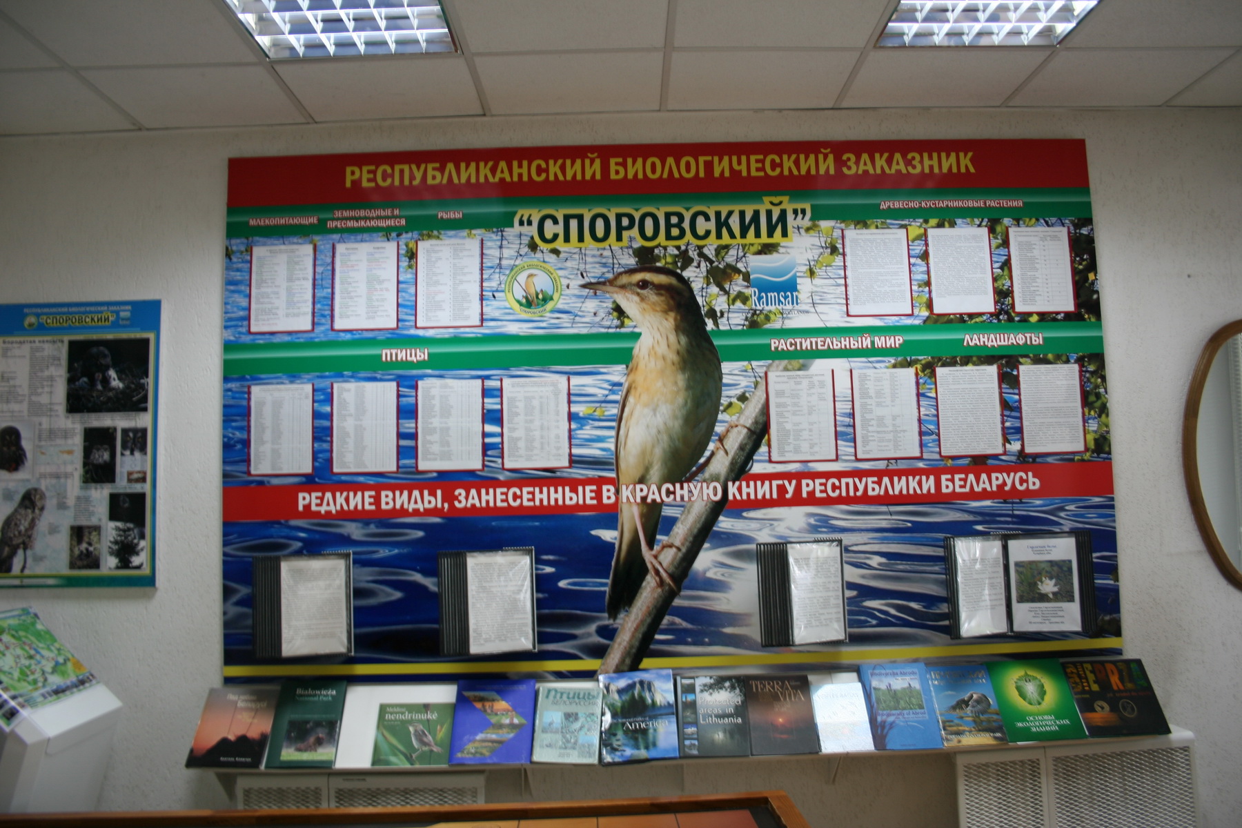 Spor_001_новый размер